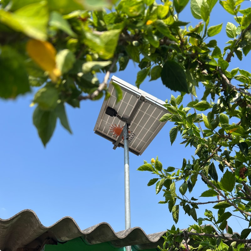 Solar-powered street light mounted on a tall pole, framed by green tree branches against a clear blue sky.