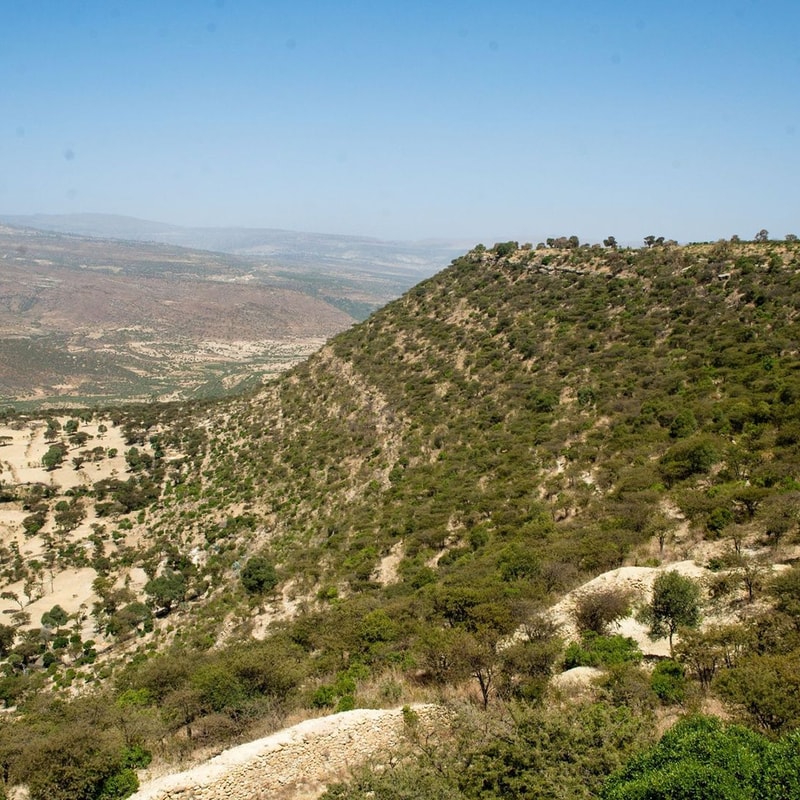 Rolling hillside landscape with sparse trees, rocky slopes, and distant valleys under a clear blue sky.