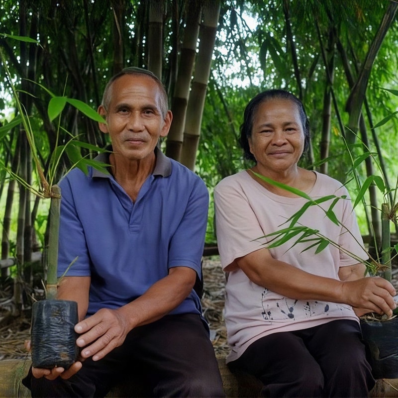 Two adults sit side by side in a bamboo forest, each holding young bamboo saplings in plastic pots, smiling softly at the camera.
