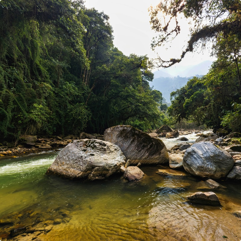 Lush green river canyon with large rocks in a clear, shallow stream; dense forest on both banks and distant hazy hills under bright sky.