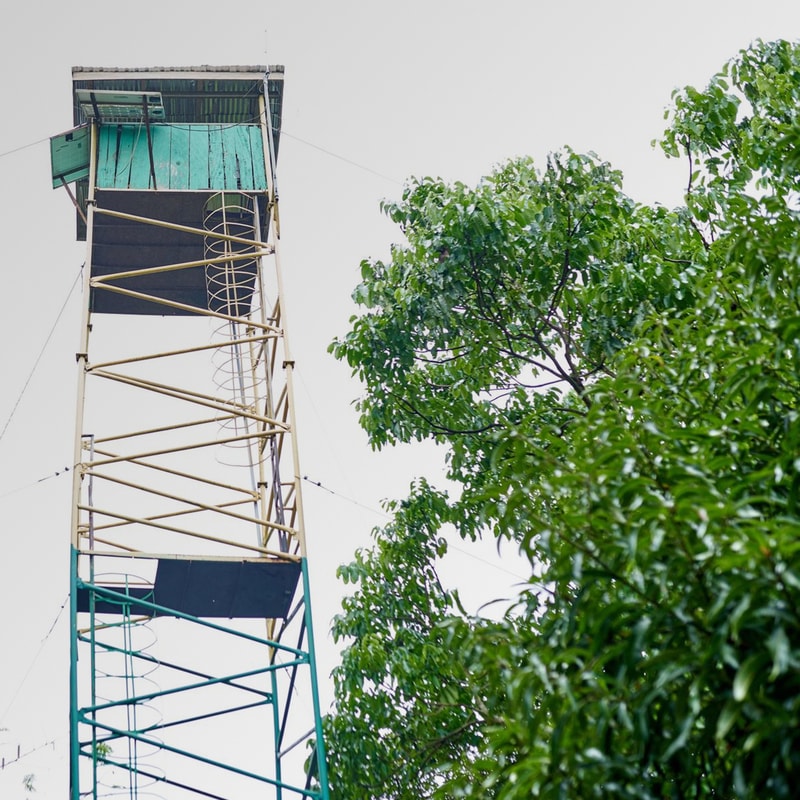 Tall metal lookout tower with yellow and teal sections, spiral ladder, and green platform at the top, next to leafy tree against a pale sky.