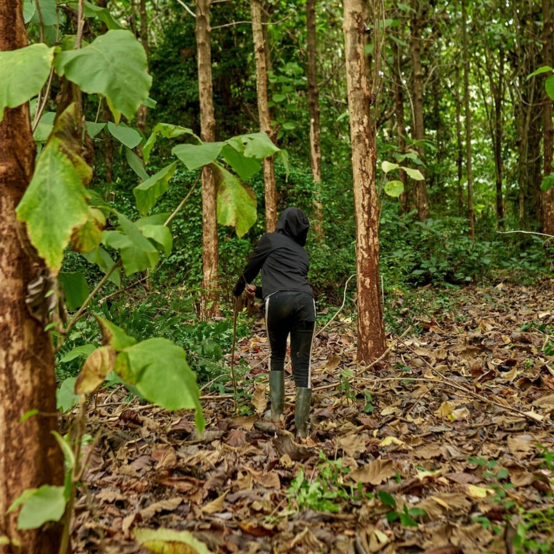 Person wearing black hooded jacket and dark pants walking through a leafy forest with muddy ground, using a stick for support among trees and fallen leaves.