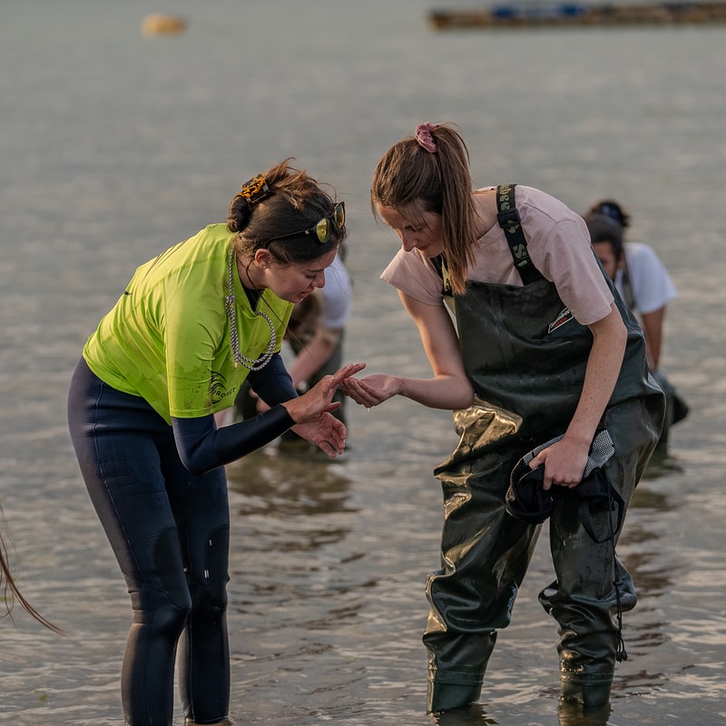Two people stand in shallow water at the edge of a lake, one in a bright yellow shirt and dark wetsuit helping the other in green waterproof overalls with a pink scrunchie, both bending to inspect or compare something in the hands.