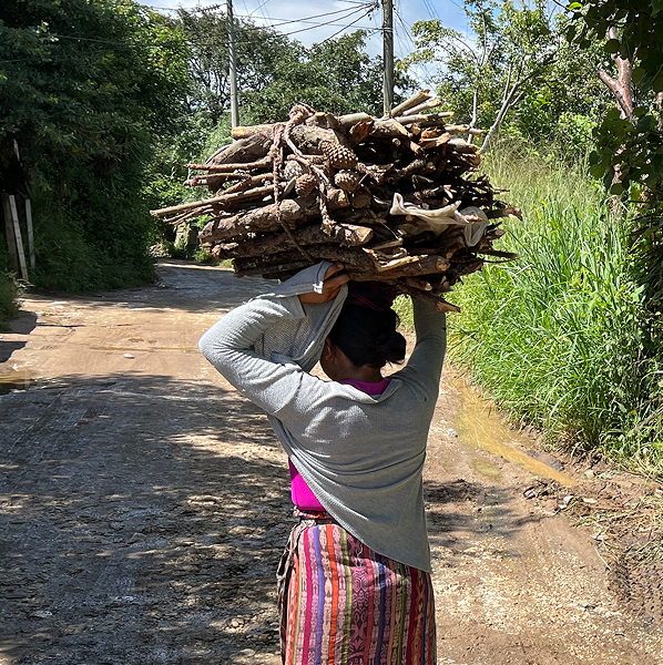 Person carrying a large bundle of stacked firewood on head, walking down a sunny rural dirt road with tall grasses and trees on both sides.