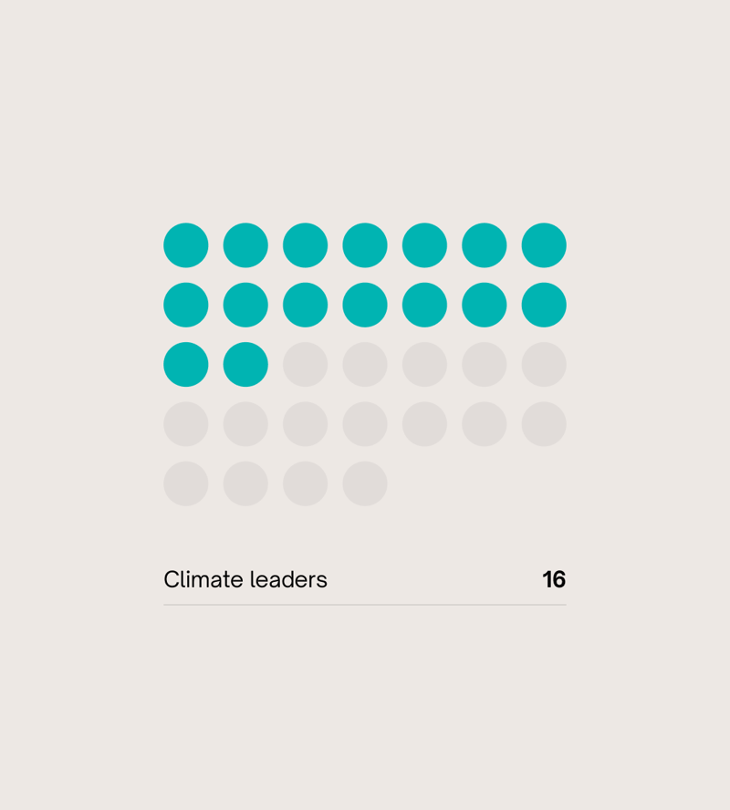 Row of teal dots forming a 5x6 grid with lower rows faded grey; caption reads "Climate leaders" and number 16.