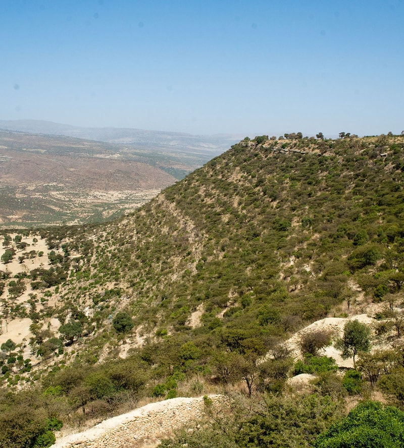 Snow-capped mountain range under a blue sky with scattered clouds, green forested valley, and a winding road cutting through the vibrant landscape.