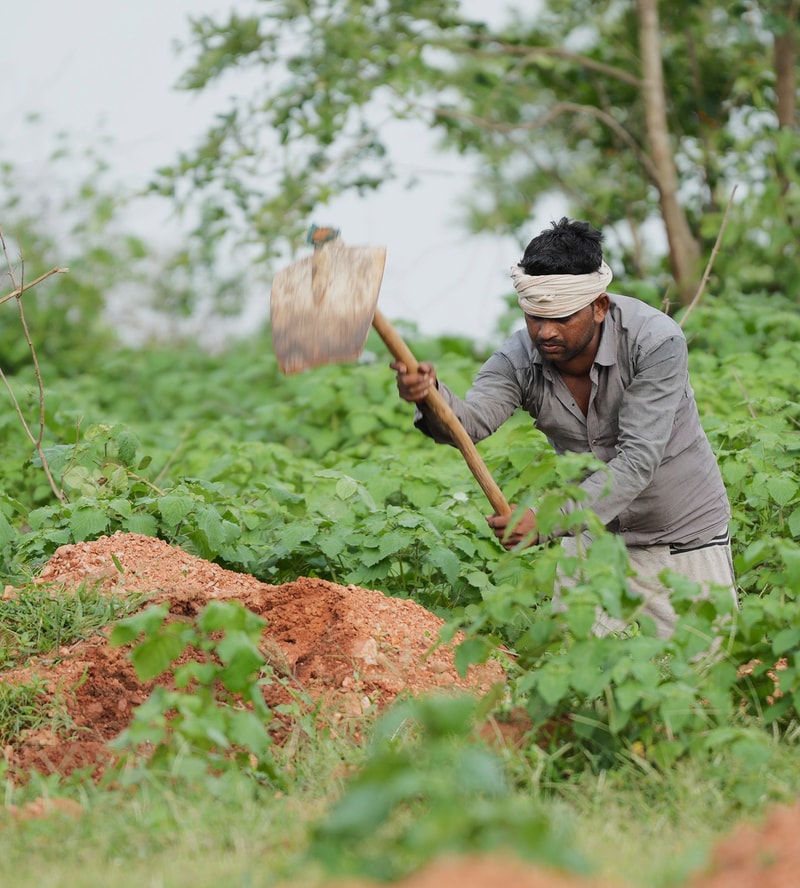 Man with head wrap digging into red soil with a shovel in a green field, using a two-handed motion while crouching among plants and dirt mounds.