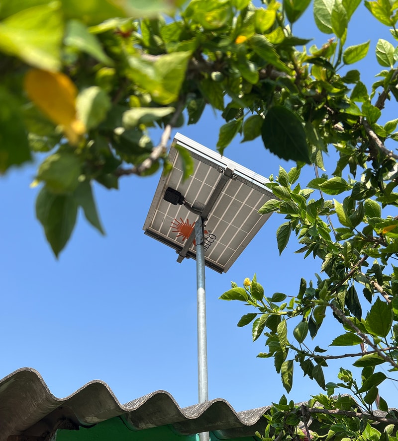Solar-powered street light mounted on a metal pole, viewed from below through green leafy branches against a bright blue sky.