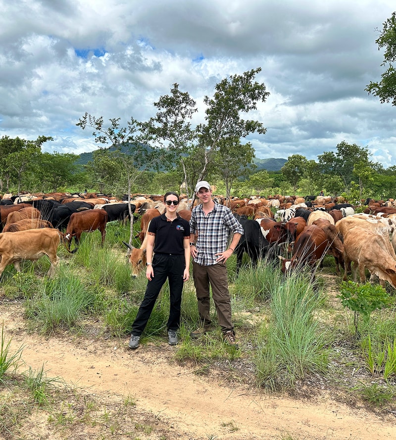 Two people stand in a grassy, dusty field with a large herd of cows behind them under a cloudy sky; trees and hills in the distance.