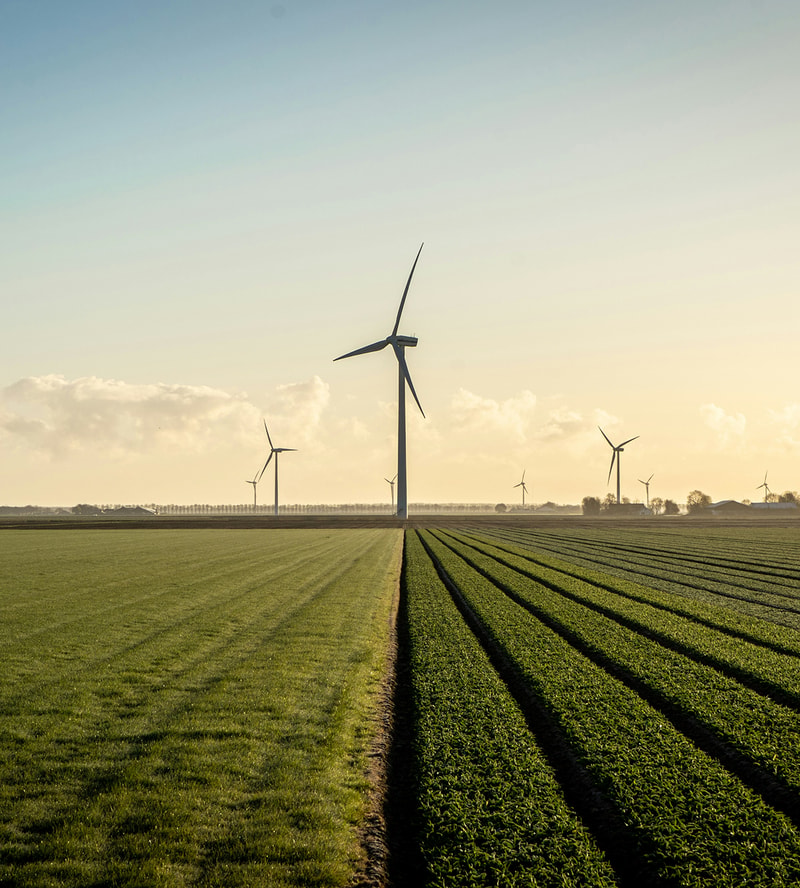 Wind turbines standing tall over cultivated fields with furrowed rows and a clear sky at either sunrise or sunset.