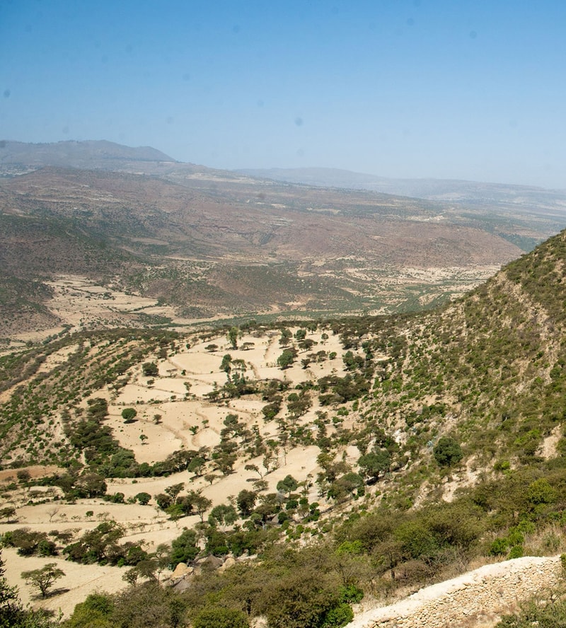 Dusty terraced valley with scattered green trees, rolling hills, and distant hazy mountains under a clear blue sky.