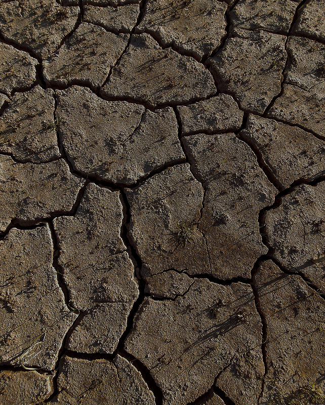 Parched cracked earth with irregular polygonal plates and dark crevices, small dry tufts of grass scattered across the arid surface.