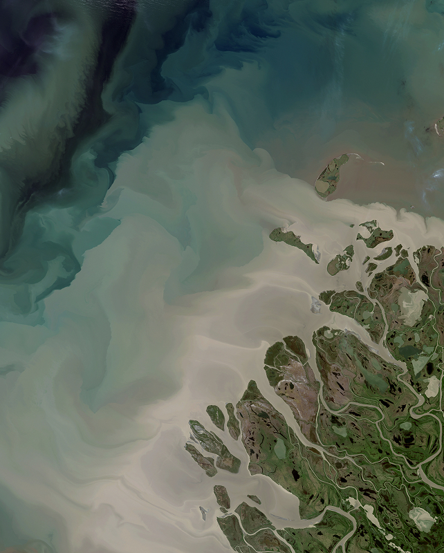 Aerial view of a coastline where pale, milky waves meet green, rugged land with winding streams and inlets, blending into turquoise and dark sea at the top.