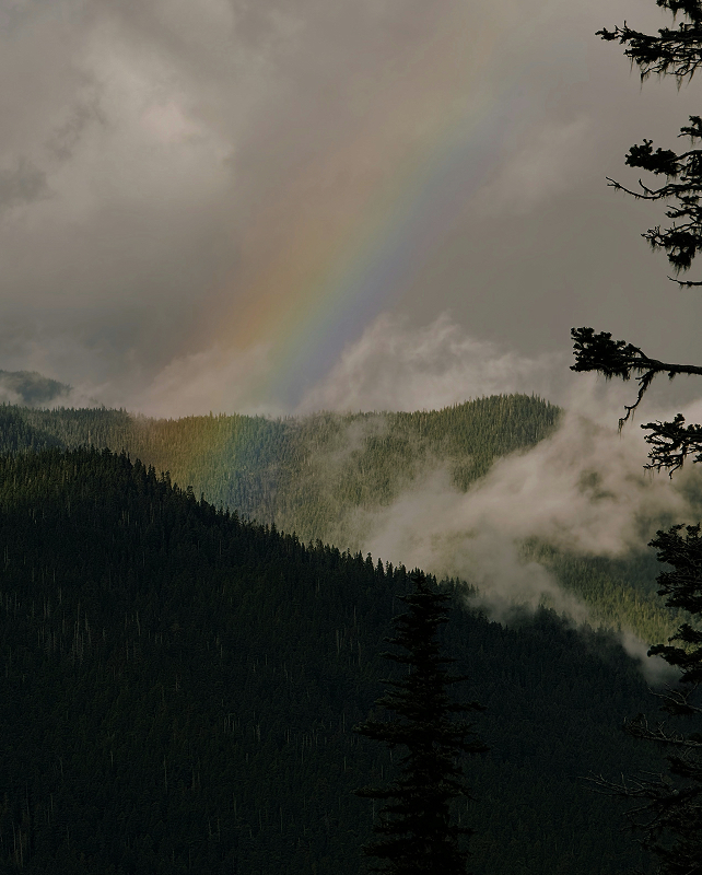 Rainbow arcs over misty forested mountains, with dark slopes, scattered clouds, and tall tree silhouettes framing the scene.