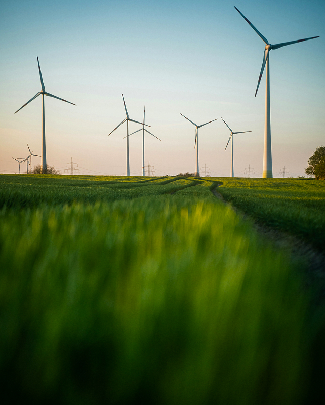Wind turbines standing in a green field at sunset, with a dirt path winding through tall grass and power lines fading in the distance.